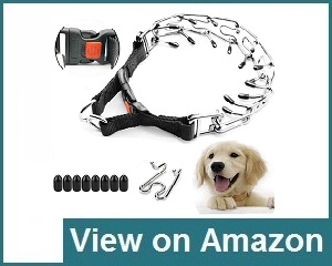 Supet Dog Prong Collar Review
