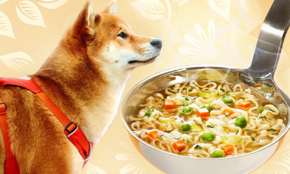 Can a Dog Eat Chicken Noodle Soup?