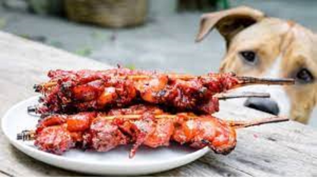 Can Dogs Eat Kebab Meat