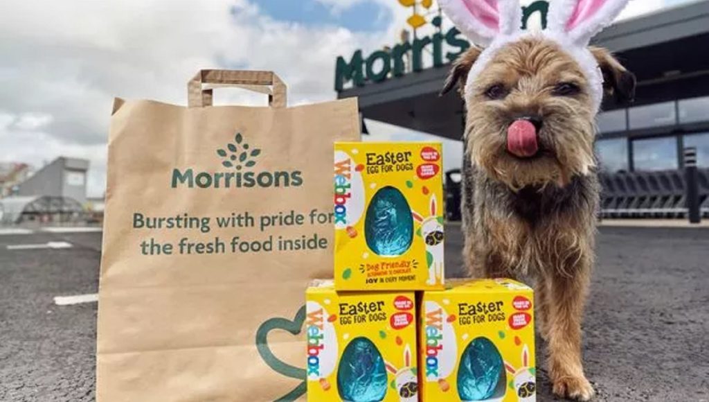 Can I Take My Dog into Morrisons? Pet Guide Reviews