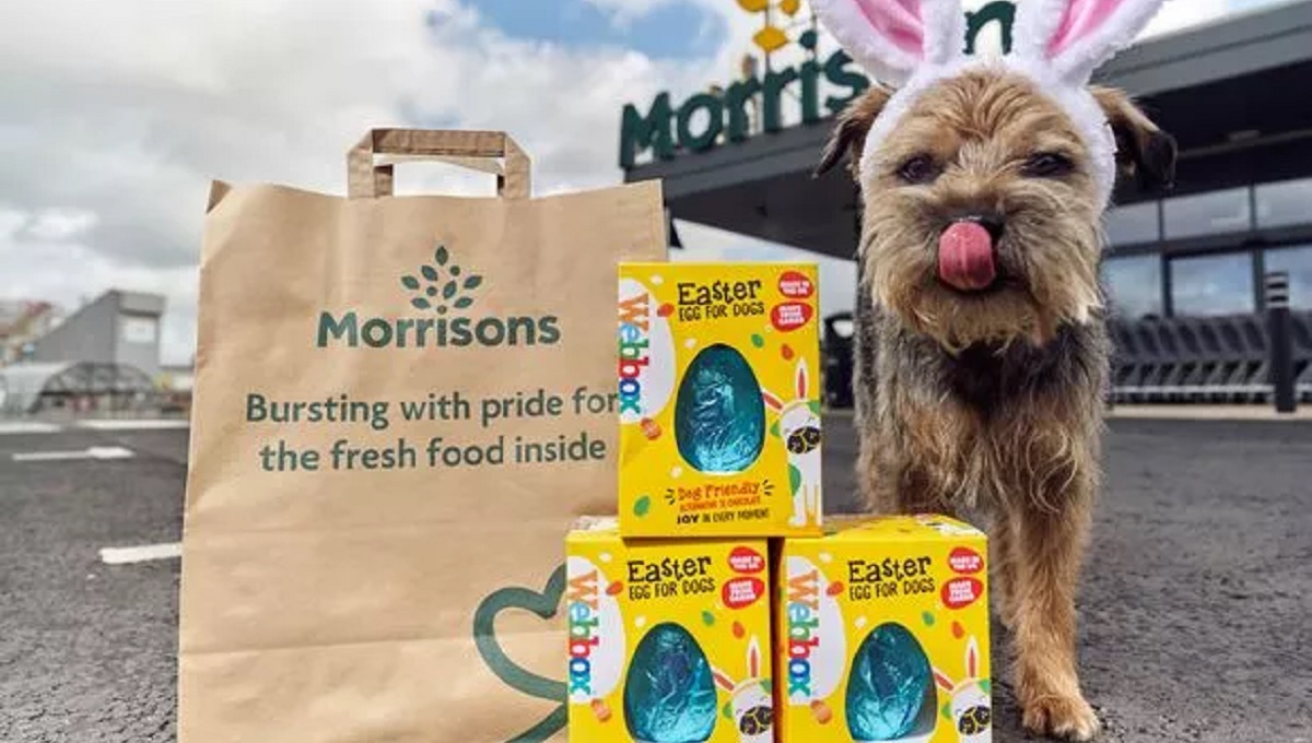 Can I Take My Dog into Morrisons