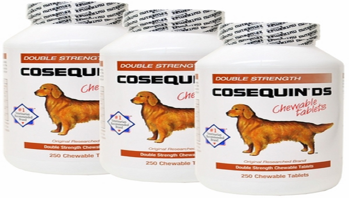 Can Cosequin Cause Diarrhea in Dogs