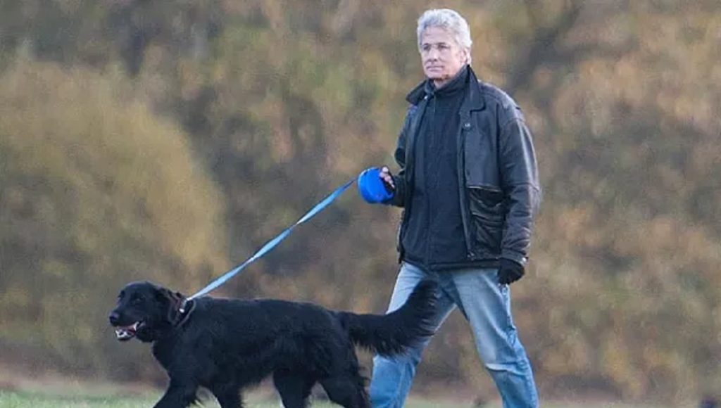 Is Fenton the Dog Still Alive? Pet Guide Reviews